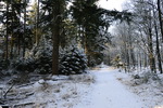 04. Winterlandschap_S